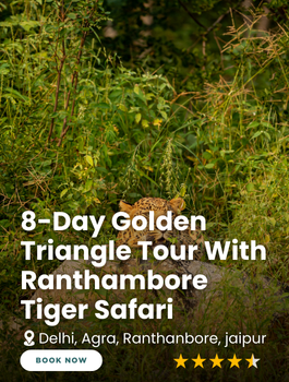 8-Day Golden Triangle Tour with Ranthambore Tiger Safari