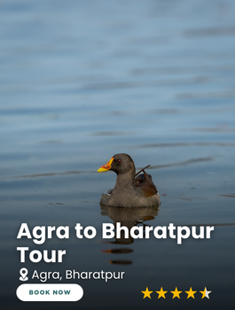 Agra to Bharatpur Tour
