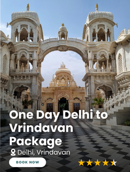 One Day Delhi to Vrindavan packages