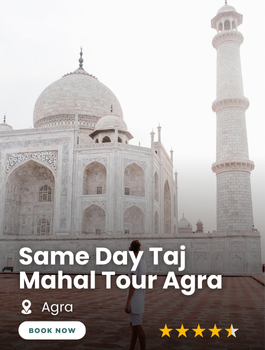 Same Day Taj Mahal Tour Agra
